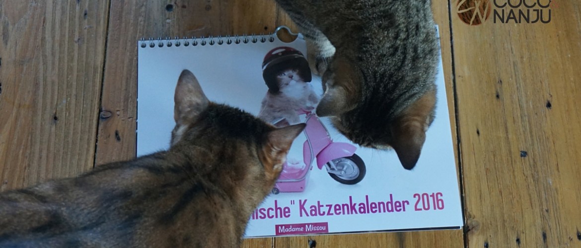 Coco und Nanju mit Katzenkalender 2016